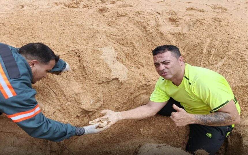 Intensifican labores de protección de nidos de tortuga verde en Sucre