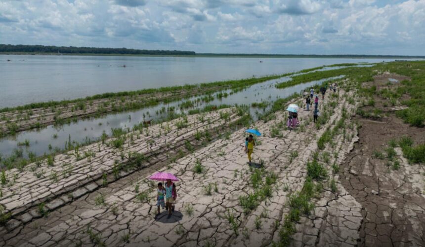 Organización Meteorológica prevé episodio del fenómeno El Niño entre junio y agosto