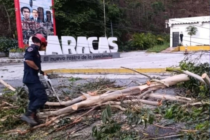Operativo de envergadura despeja Autopista Regional del Centro tras caída de árbol
