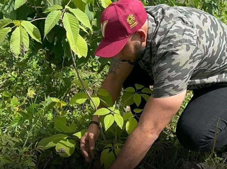 Plan Chuquisaca impulsa recuperación ambiental con especies autóctonas