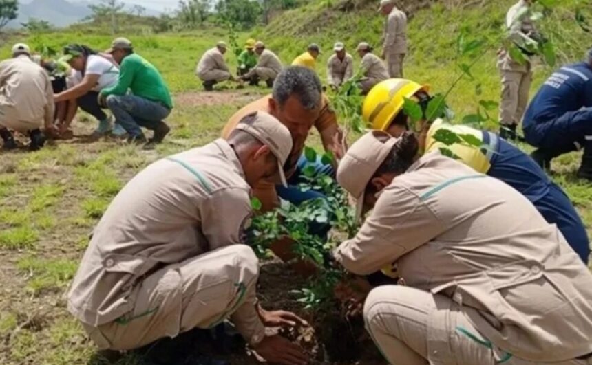 Plan de Reforestación Chuquisaca se ejecuta en Guárico