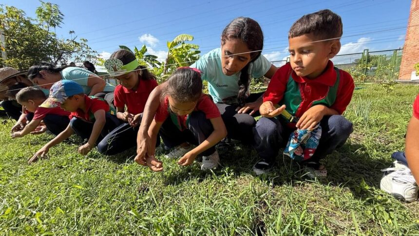 Estudiantes activan 2da fase del Plan Agroproductivo de Siembra Escolar en Valencia
