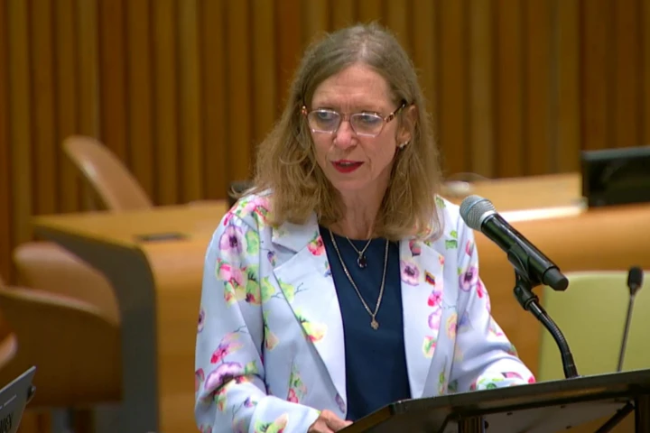 Venezuela presents to the UN Earthquake-resistant reconstruction plan