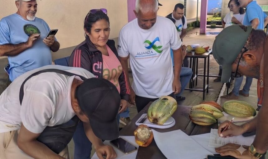 ACAV dicta taller de mejoramiento genético del cacao a productores de Barinas