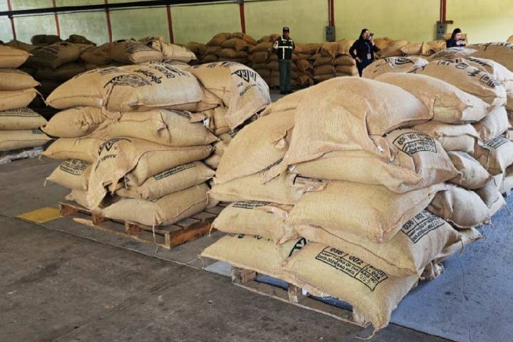 Mérida envía 19,2 toneladas de café a Bélgica y supera las 540 toneladas exportadas