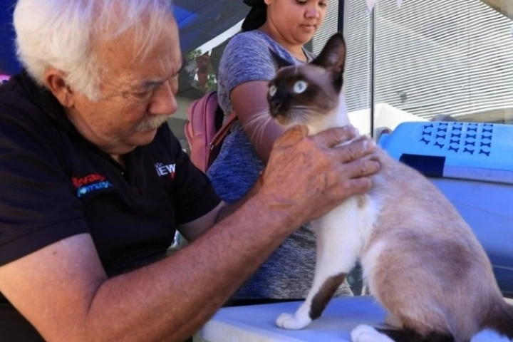 Miranda supera 72 mil atenciones veterinarias durante el primer semestre de 2026