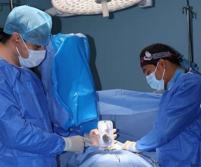 Programa Nacional de Implantación de Marcapasos avanza en la CHET de Valencia