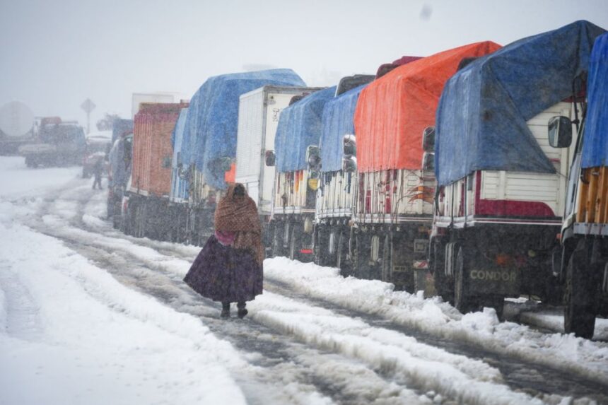 Bolivia registra más de 26 mil familias afectadas por intensa nevada