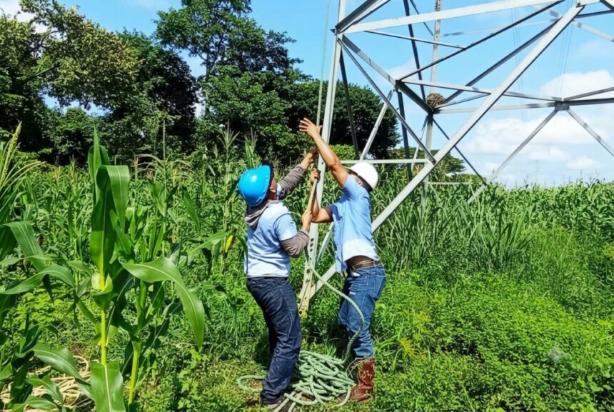 Ejecutan labores de adecuación en línea de alta tensión San Fernando II – Achaguas