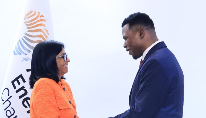 Venezuela y Cámara Africana de Energía fortalecen alianzas en hidrocarburos