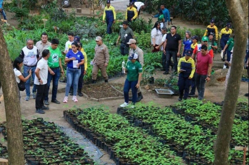 Instalan el vivero municipal Verde Vida para fortalecer la reforestación