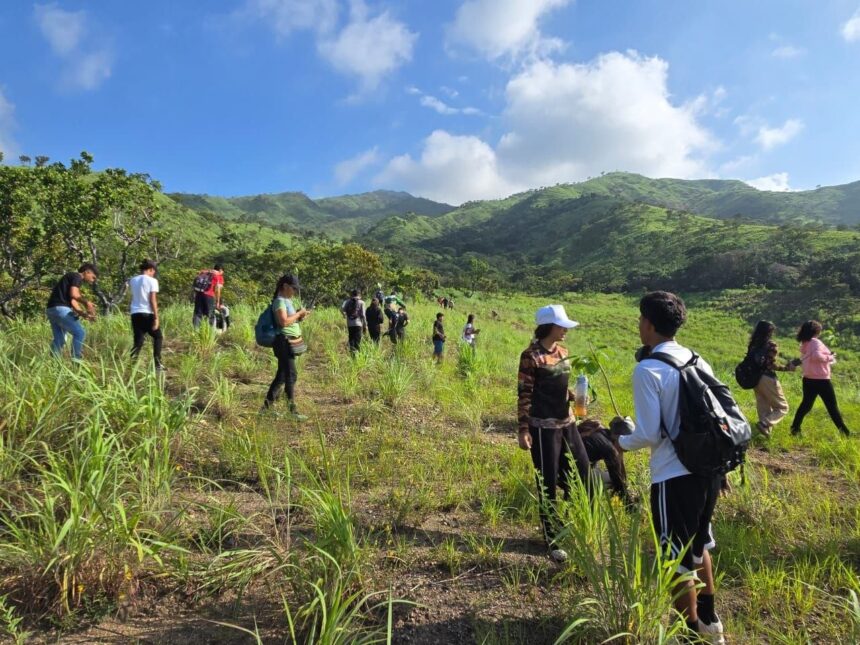 Más de mil árboles fueron sembrados en Fila Cúpira del Parque Nacional San Esteban