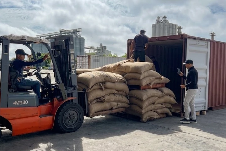 Lara consolida capacidad exportadora con envío de 19 toneladas de café verde a EE. UU.