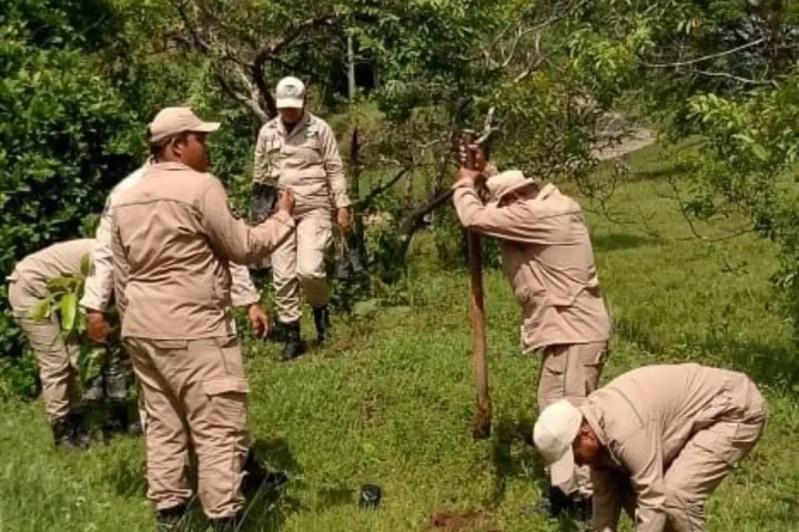 Plan Nacional Chuquisaca impulsa reforestación en el estado Guárico