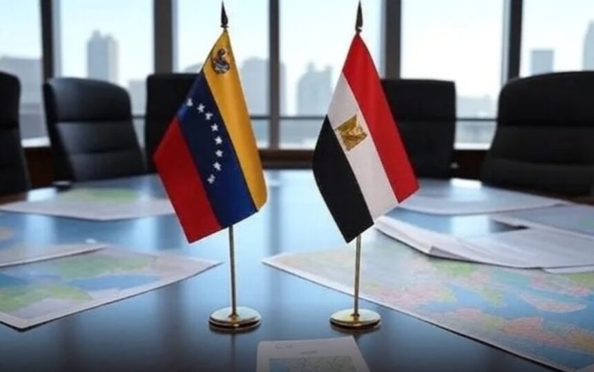 Venezuela y Egipto fortalecen cooperación bilateral