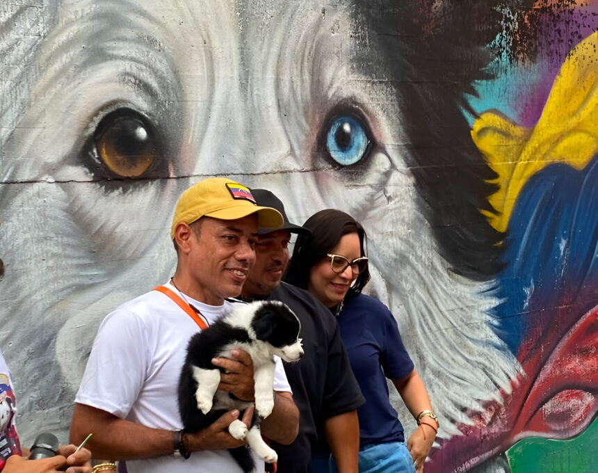 Cachorra Yumare heredará la misión de rescatista de Tsunami en Venezuela