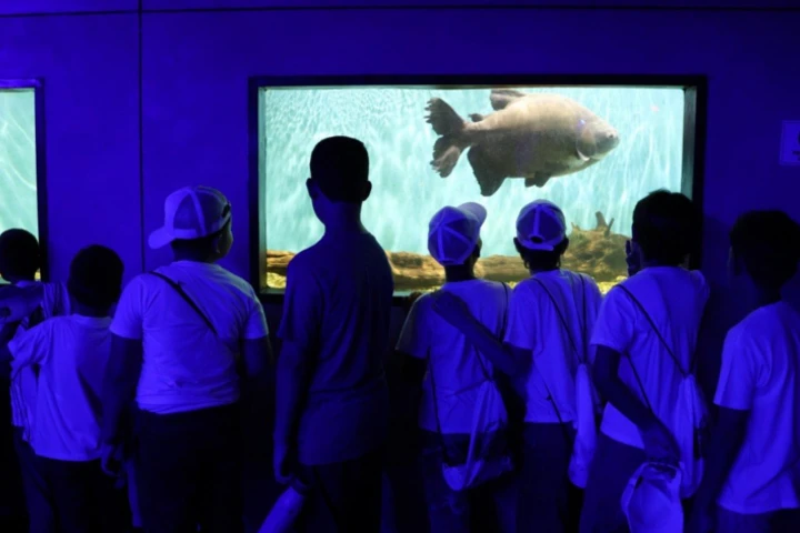 Zoo Aquarium de Valencia supera los 12 mil visitantes durante vacaciones