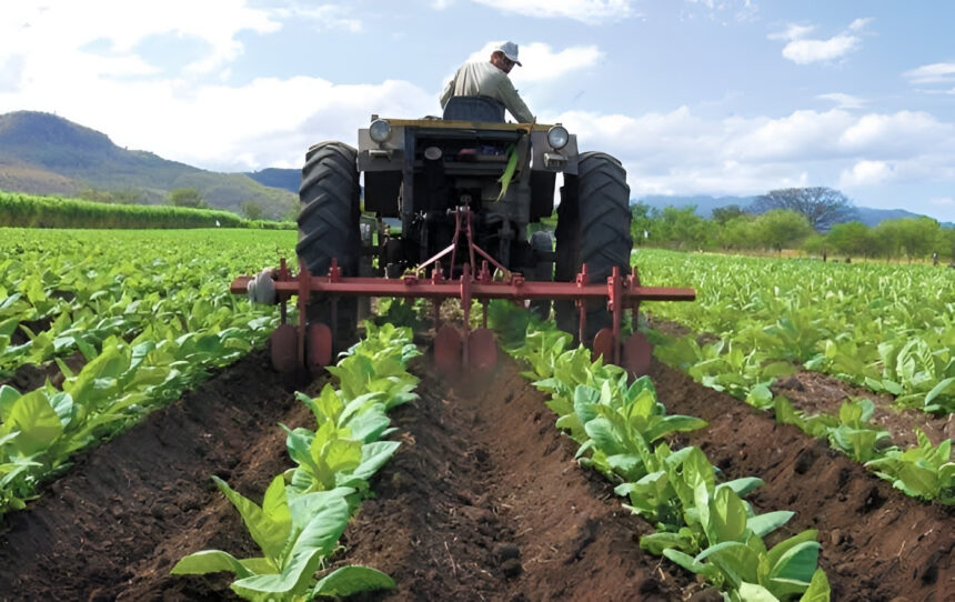 Gobierno de Apure y sector privado entregan insumos y asistencia técnica a 60 productores agrícolas y pecuarios