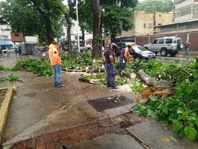 Alcadesa Carmen Meléndez reportó despliegue de brigadas en varios puntos de Caracas tras lluvias