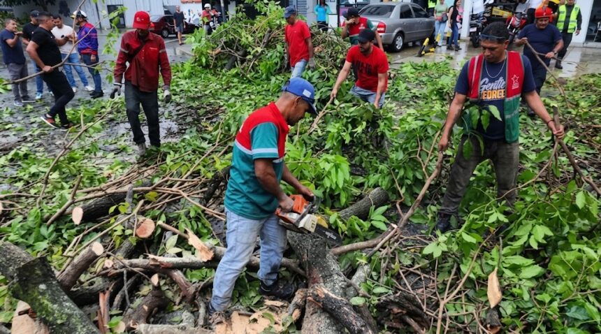 Alcaldía de Caracas y Protección Civil atienden incidencias causadas por intensas lluvias y la Onda Tropical 51