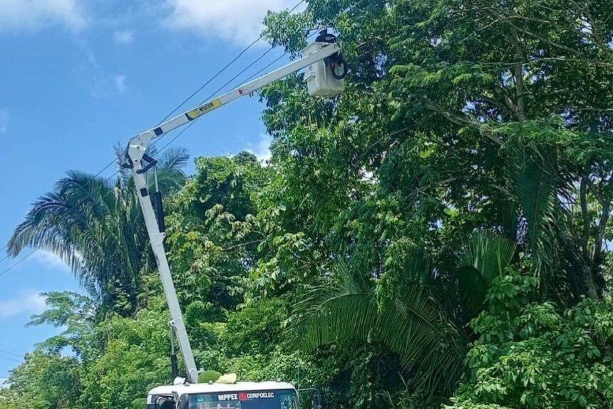 Corpoelec realiza labores de mantenimiento correctivo en el circuito El Café de Barlovento