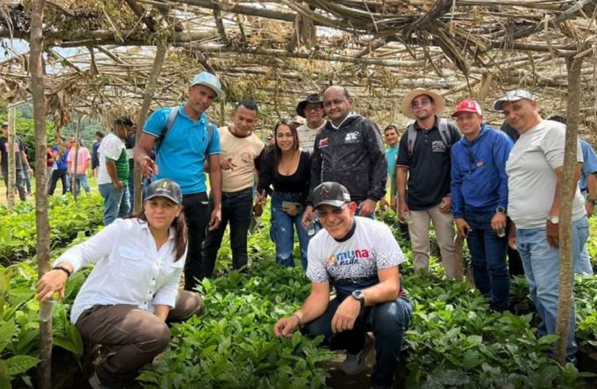 Entregan 18.000 plantas de café a productores de la comuna Los Campiare
