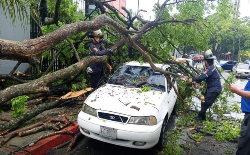 Fuertes lluvias dejan árboles caídos, viviendas anegadas y fallas eléctricas en la Gran Caracas