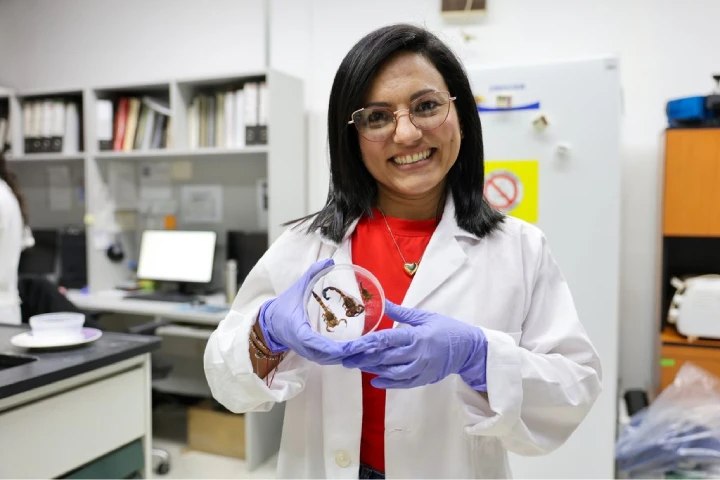 Desarrollan kit de diagnóstico in vitro contra el veneno de escorpiones en Miranda