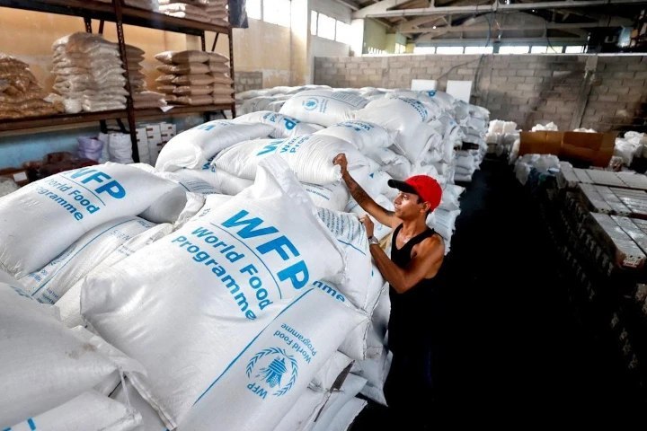 FAO reporta alza de 1,9 % en precios mundiales de alimentos durante agosto