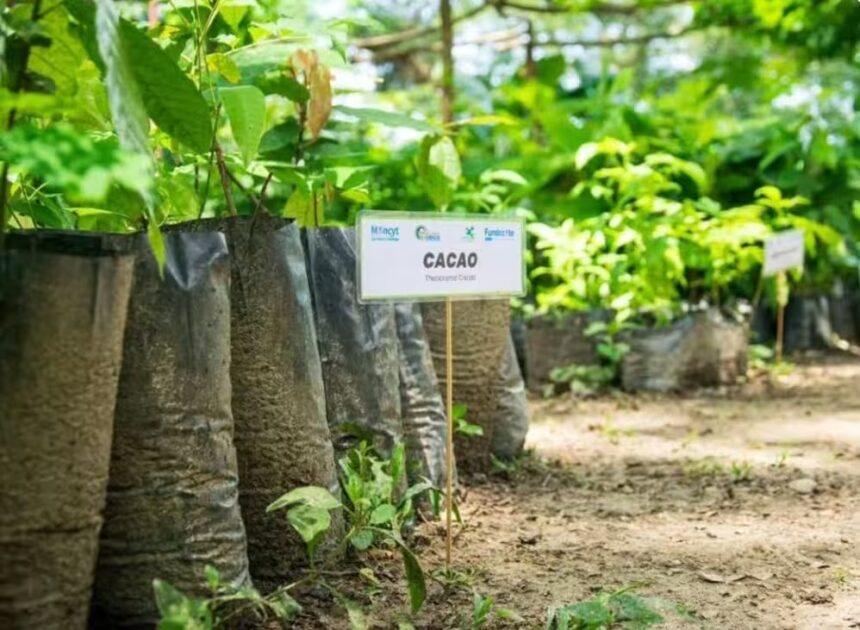 Productores se forman en biofábricas y biodigestores para impulsar la agroecología en Carabobo