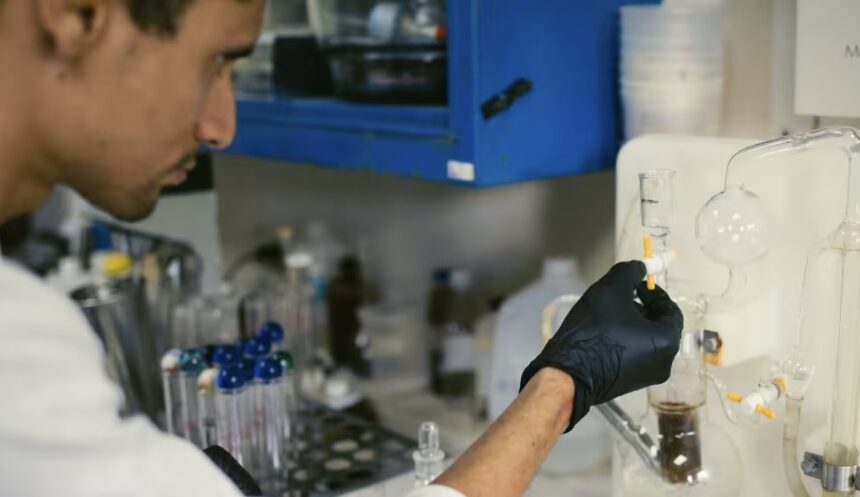 Investigadores del IVIC avanzan en la medición de nitratos para evaluar la regeneración de suelos agrícolas