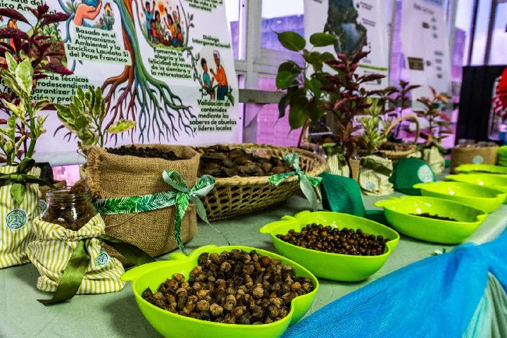 Maracaibo aprueba histórica ordenanza para la protección ambiental y arborización