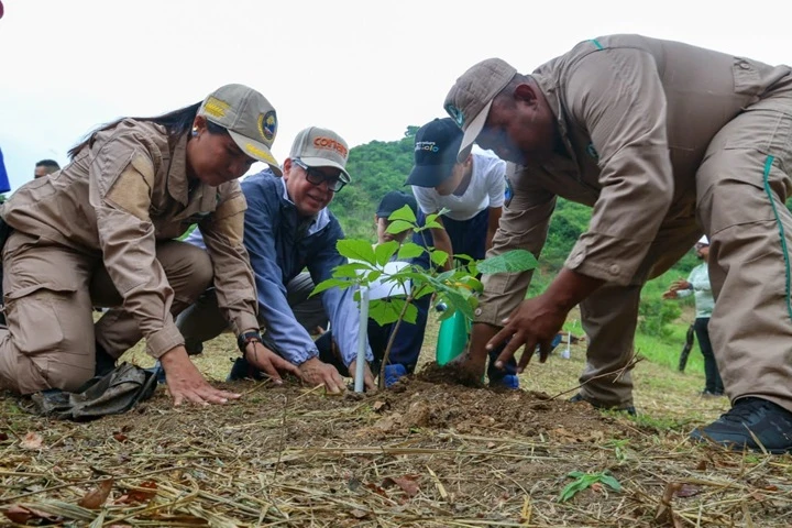 Más de 300 plantas fueron sembradas en el Parque Itagua