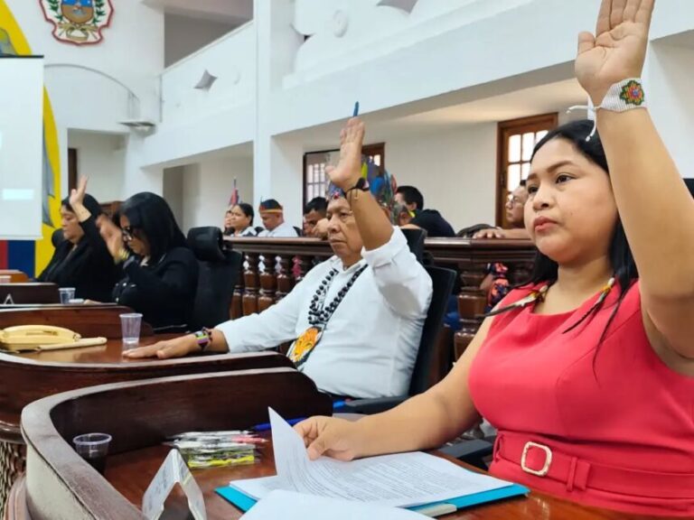 Proyecto de Ley de Pueblos y Comunidades Indígenas del Estado Bolívar.