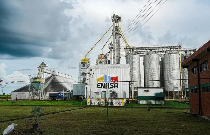 Silos del país están listos para recibir cosecha de maíz y arroz del ciclo invierno 2026