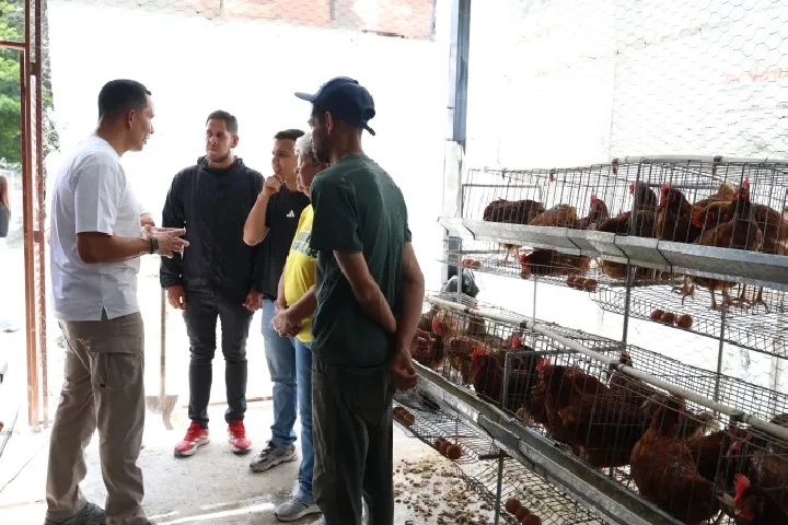 Unidad comunal produce huevos para su venta a precios asequibles en el 23 de Enero