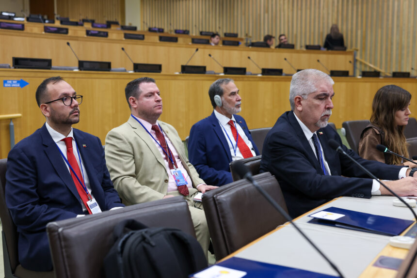Delegación de Venezuela en la Reunión Ministerial CELAC-Unión Africana tratando el Consejo de Seguridad.