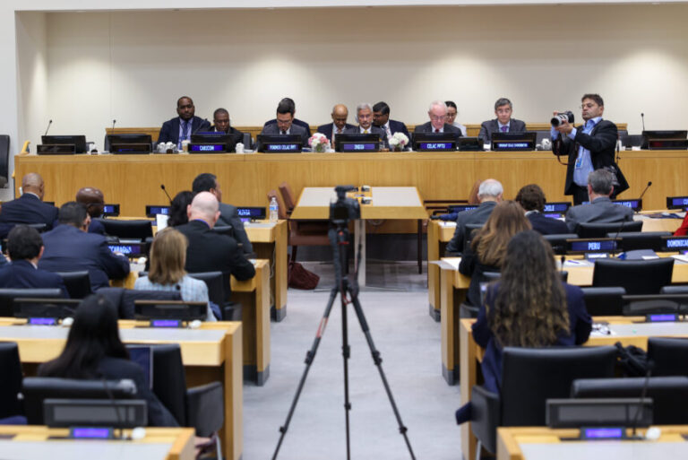 Venezuela ratifica en la ONU su voluntad de ampliar el comercio con la India