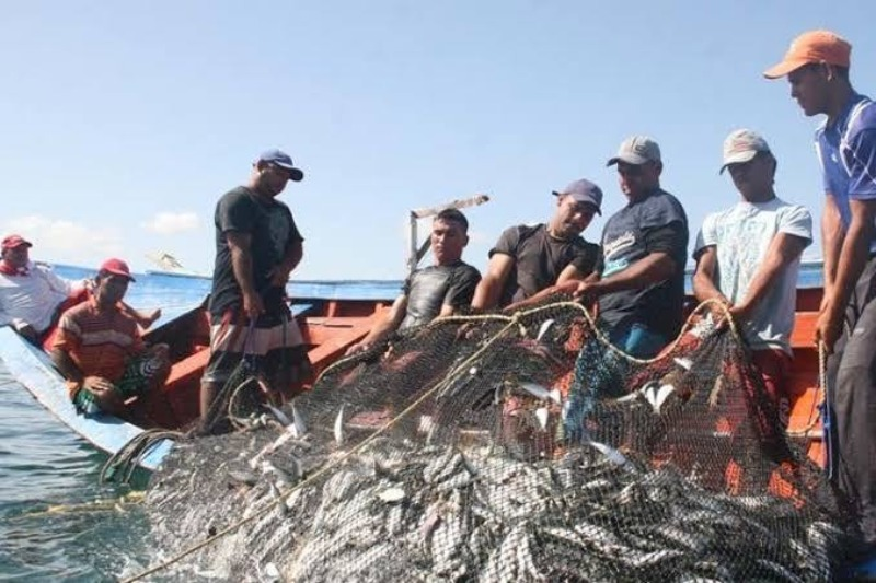 Ministerio de Pesca declara emergencia para optimizar ordenamiento del sector