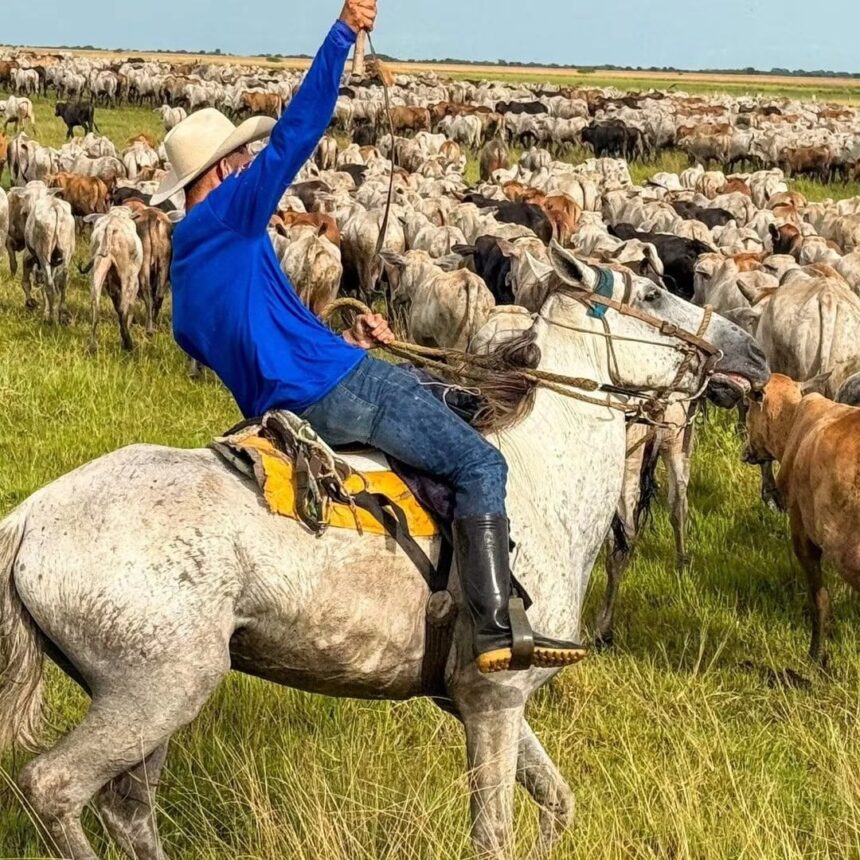 La Faena regresa a RNV para enaltecer la identidad del campo venezolano