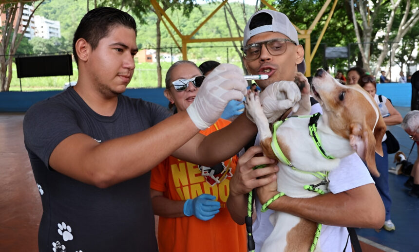 Valencia contará con nuevo Centro Médico Veterinario para la atención integral de las mascotas