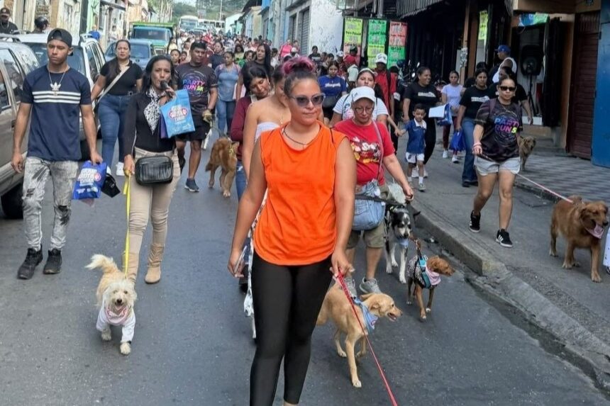 Realizan en el Tuy caminata familiar canina como parte de fiestas patronales de Santa Teresa de Jesús