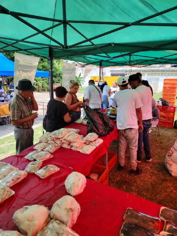 En Carabobo, el despliegue de Bodegas Sacas ofreció alimentos a bajo costo y atención médica a 100 adultos mayores de la parroquia San Blas.