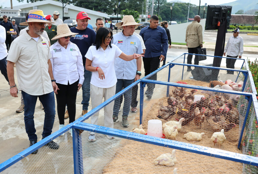 Impulsan el liderazgo campesino en Aragua con la nueva Escuela Ezequiel Zamora. Formación integral para más de 15.500 consejos.