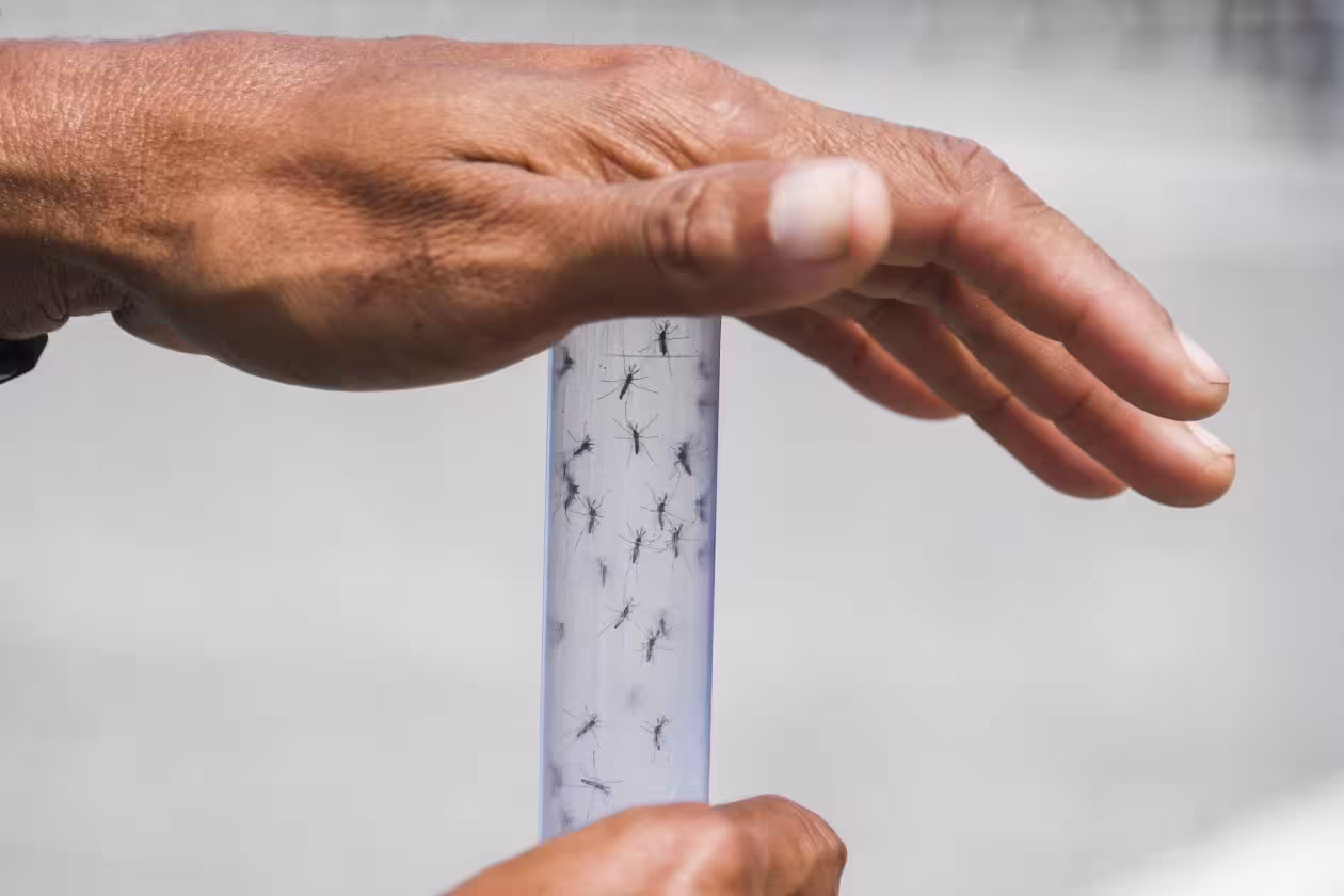 Ministerio de Salud declara alerta sanitaria ante efectos ambientales de El Niño