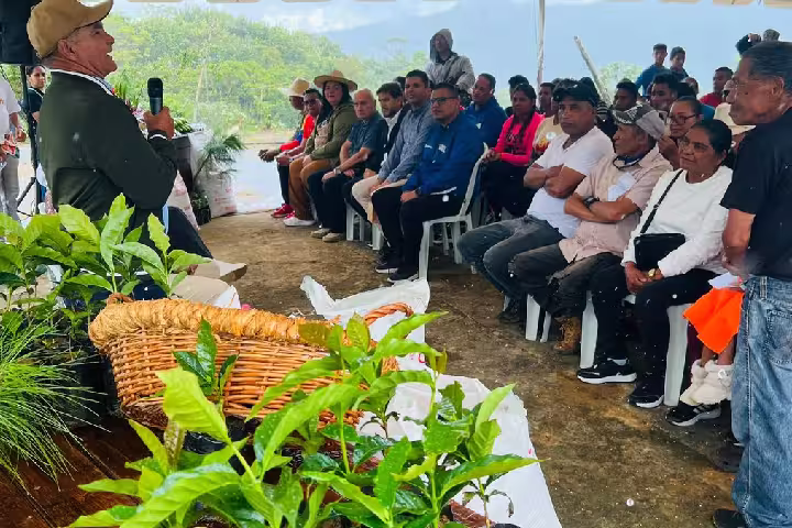 Entregan 290 mil plántulas a caficultores en Anzoátegui