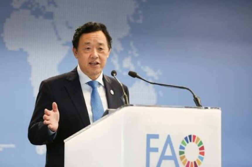 FAO compromete 7.880 millones de dólares para impulsar sistemas agroalimentarios
