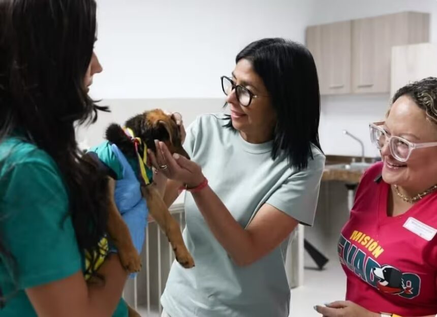 Presidenta Delcy Rodríguez resalta labor de Misión Nevado en protección animal