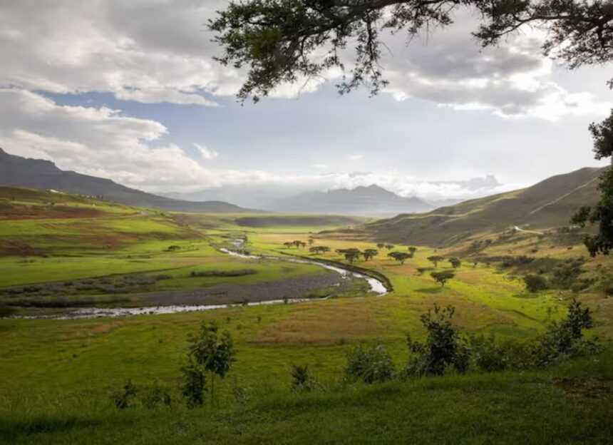 Venezuela expone modelo forestal ecosocialista e innovación científica en la FAO