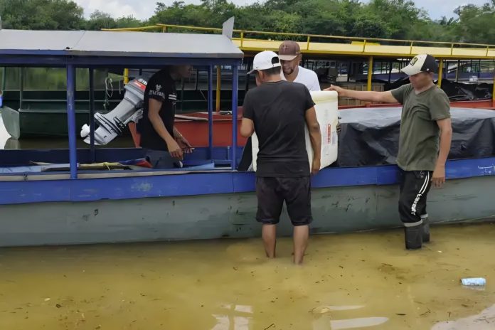 La Dirección Estadal de Salud y el Programa de Eliminación de Malaria concretaron una jornada especial de abastecimiento sanitario en el estado Amazonas, informó el Ministerio del Poder Popular para la Salud a través de su cuenta oficial en Instagram. La acción social permitió la entrega de tratamientos antimaláricos, pruebas de diagnóstico rápido y suministros médicos esenciales en los municipios selváticos de Autana, Alto Orinoco, Atabapo, Manapiare, Maroa y Río Negro. La atención médica en la entidad incluyó la distribución de biológicos en la parroquia Mavaca para consolidar el esquema nacional de vacunación en las comunidades más alejadas del territorio regional. Mediante estas acciones operativas, las autoridades sanitarias procuran el equipamiento continuo de los puestos de diagnóstico para proveer una respuesta oportuna a los habitantes de la zona. El trabajo coordinado con el Programa de las Naciones Unidas para el Desarrollo (PNUD) facilitó la evaluación positiva de esta estrategia regional, destacando los logros alcanzados en la capacitación de personal y en la supervisión de la atención en la selva venezolana.